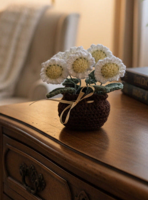 Pot de marguerites