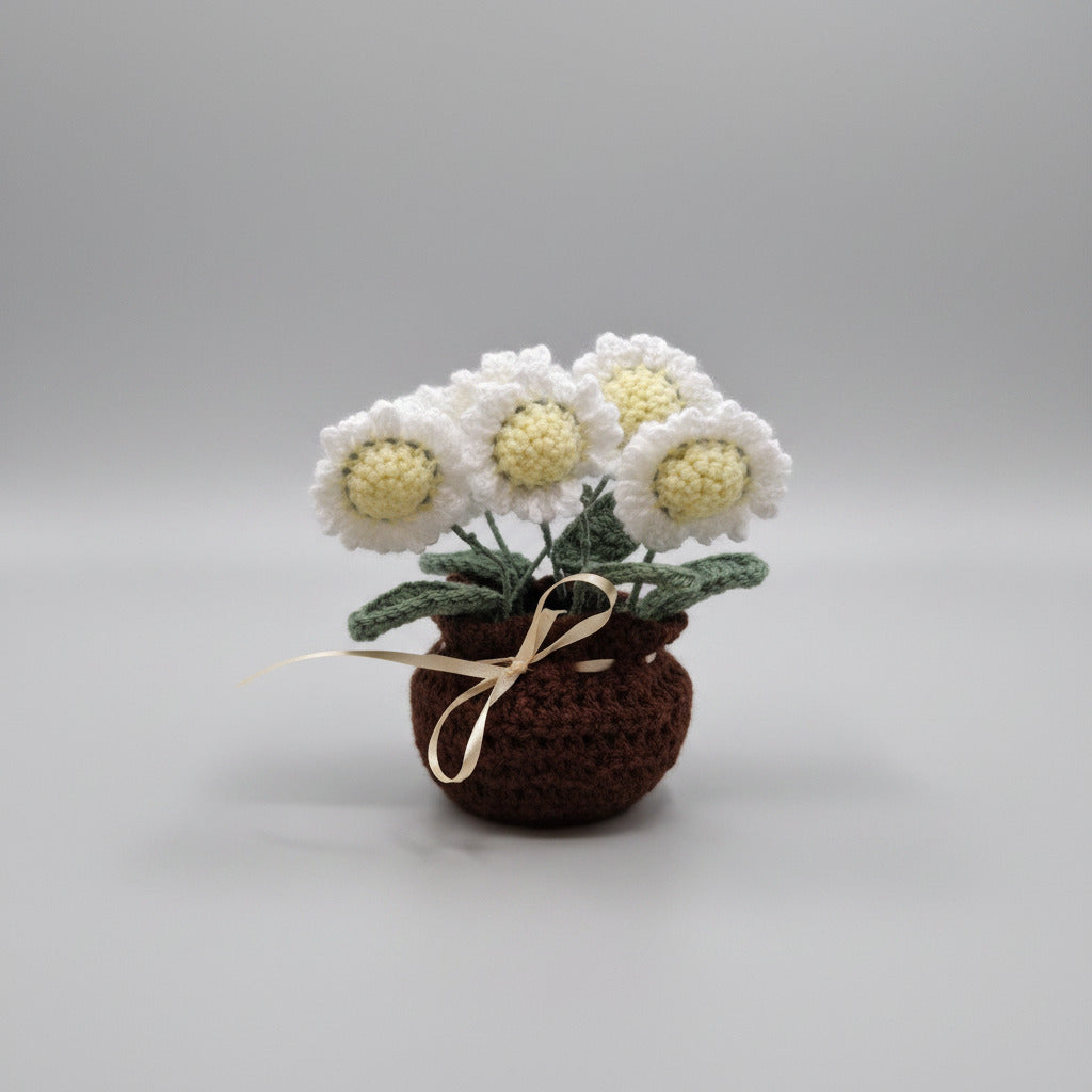 Pot de marguerites