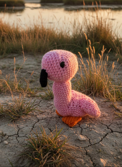 Bébé Flamant Rose