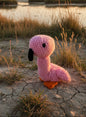 Bébé Flamant Rose