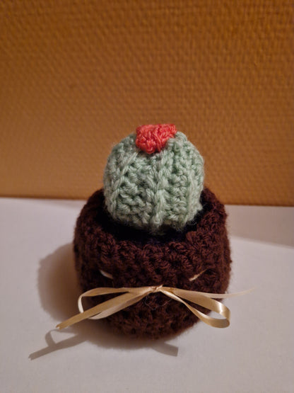 Pot cactus